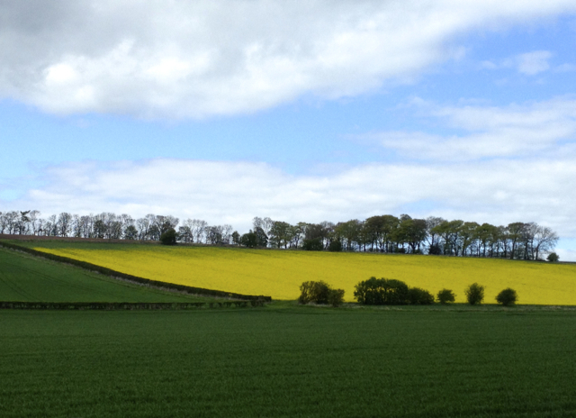 Too good to be true? These colours are real!