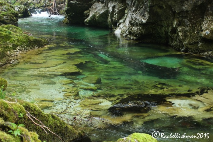 The clear waters of Vintgar Gorge have been attracting tourists since the 1800s - go in the early morning to escape the crowds!