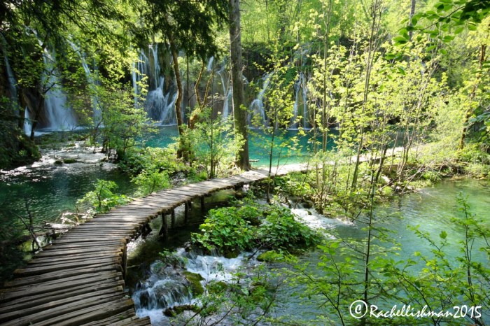 Visiting Plitvice upper lakes after 4pm makes for a blissfully quiet boardwalk - all the better for wildlife spotting!