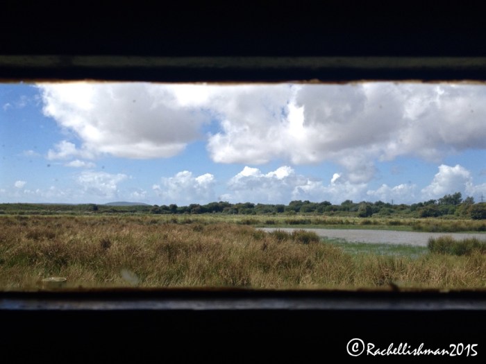 Sit quietly in the Wetlands Centre's hides to spot over 50,000 species of bird.
