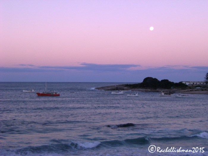 Sunset in Bicheno killed some time while I waited for the tiny penguins to emerge...