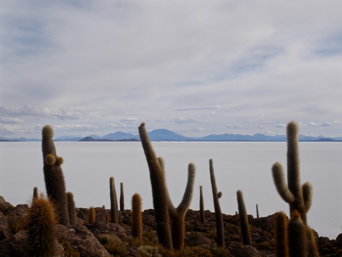 Salar de Uyuni 2