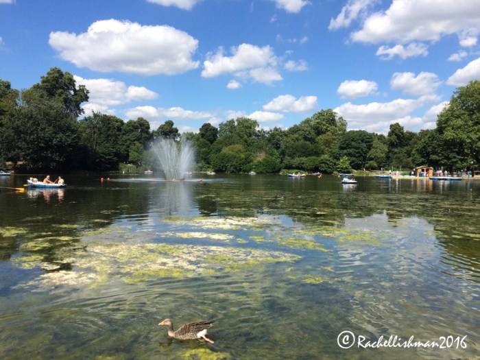 Birds rule the roost at Victoria Park, northeast London.